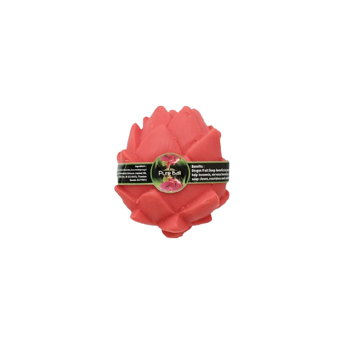DKV11463-removebg-preview