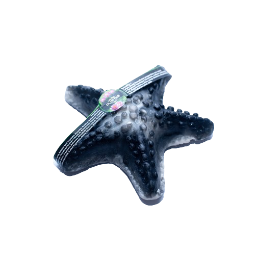 sea_star_big_single_1-removebg-preview